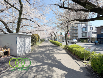  ●桜並木●
周辺は自然豊かでお散歩など楽しめます。桜並木まで徒歩１分です♪