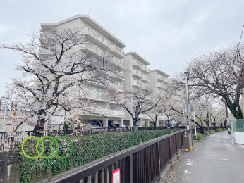  ○外観○