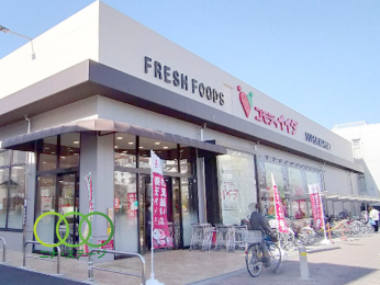  RfBCC_ԒːVX܂Ł@496@k7