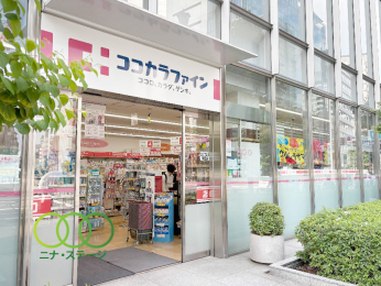  �R�R�J���t�@�C�������X�܂Ł@226���@�k��3��