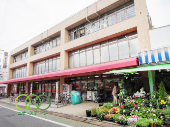  �R���f�B�C�C�_���V���X�܂Ł@447���@�k��6��