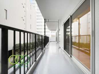  ���o���R�j�[��
�쐼�Ɩk�������A��P�W�D�R�S�u��L���^���C�h�X�p���o���R�j�[