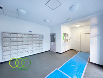  ���G���g�����X��