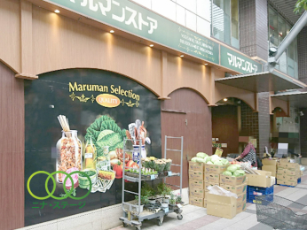  �}���}���X�g�A���闢�X�܂Ł@169���@�k��3��