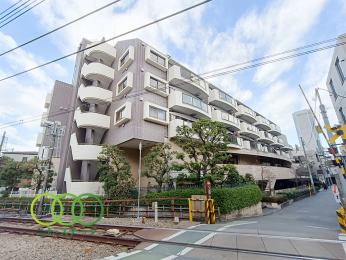  ���O�ώʐ^��
�Q�{���w�Q���̍D���n