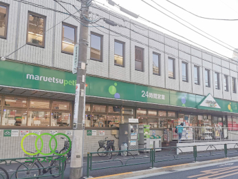  �}���G�c�v�`���쒆���X�܂Ł@259���@�k��4��