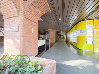  ���G���g�����X��