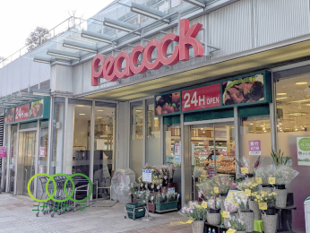  �s�[�R�b�N�X�g�A�g���i�[�����{���l���X�܂Ł@350���@�k��5��