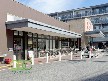  �}�b�N�X�o�����G�N�X�v���X�Z���y��w�O�X�܂Ł@804���@�k��11��