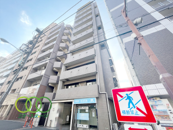  ���O�ώʐ^��
���Éw�Q���̍D���n