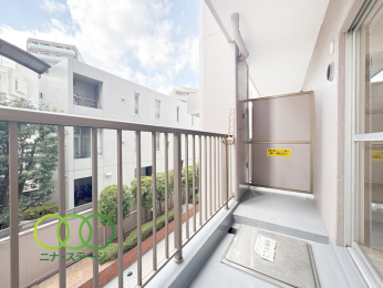  ���o���R�j�[��
�������A��T�D�S�X�u