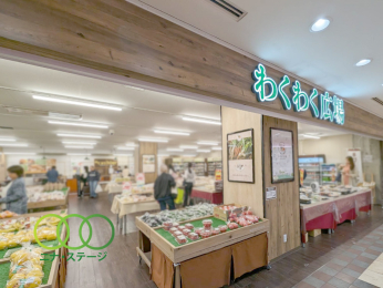  �킭�킭�L�꓌���I�y���V�e�B�X�܂Ł@449���@�k��6��