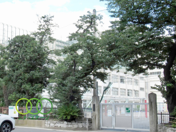  �i��旧��P�X���w�Z�܂Ł@202���@�k��3��