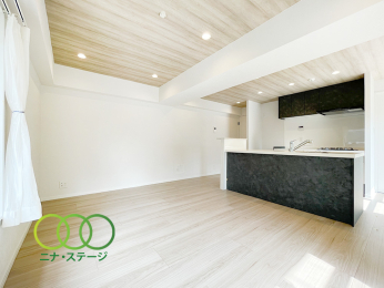  �����r���O��
��P�T�D�V��