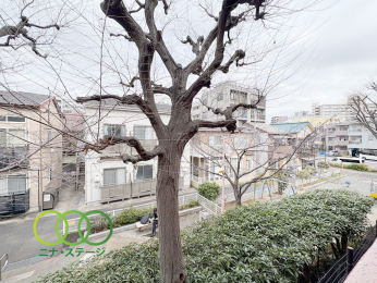  �����]��
�쐼�����o���R�j�[����̒��]