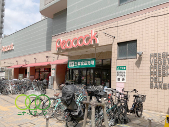  �s�[�R�b�N�X�g�A�ΐ��X�܂Ł@791���@�k��10��