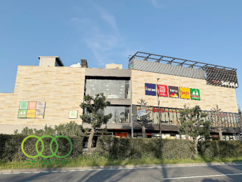  �\�R���p��܂Ł@983���@�k��13��