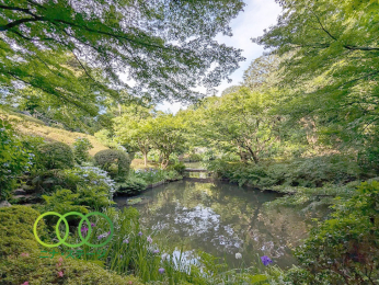  �r�c�R�����܂Ł@775���@�k��10��