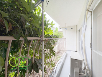  ���o���R�j�[��
�쐼�����o���R�j�[