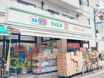  �h���b�O�Z�C���X��X�����X�܂Ł@732���@�k��10��