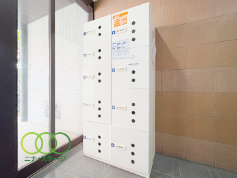  ��z�{�b�N�X