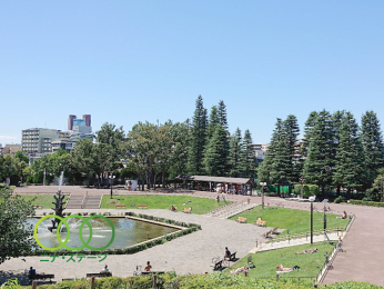  ���c�J�����܂Ł@860���@�k��11��