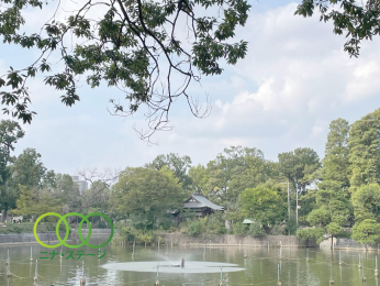  �蕶�J�����܂Ł@912���@�k��12��