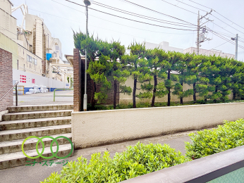  �����]��
�쐼�����o���R�j�[����̒��]