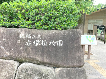  赤塚植物園：徒歩10分（752ｍ）